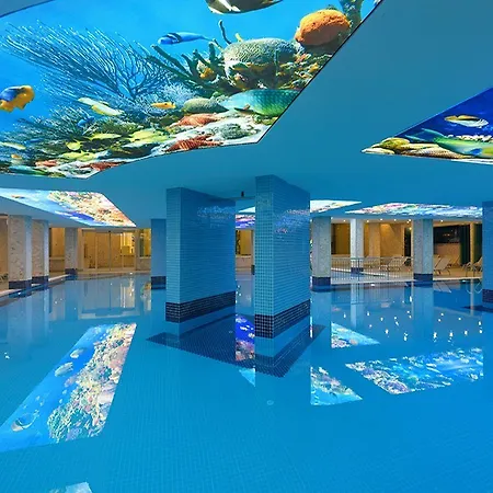 Hotel & 5*